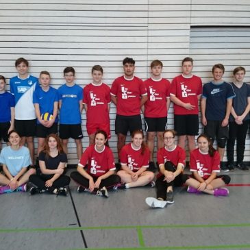 Viel Spaß beim Volleyballturnier der LSS